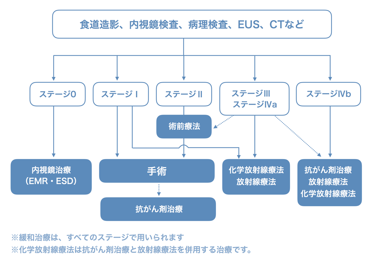 図：食道がんの治療の選びかた。