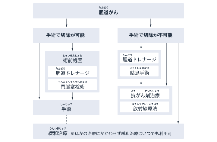 胆道がんの治療の選びかた