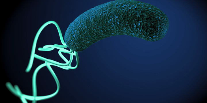 ピロリ菌に感染していると多発性硬化症になりにくいのか?の写真