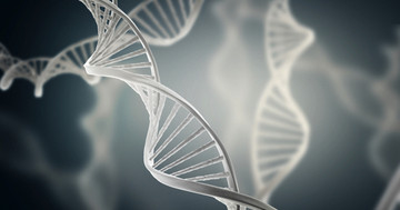 健康な皮膚の細胞の遺伝子には、既にがんの原因となる変異が多数あったの写真