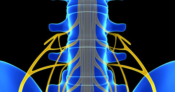 脊髄への高周波刺激が背中と足の痛みを改善する の写真