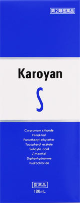 カロヤンSの写真