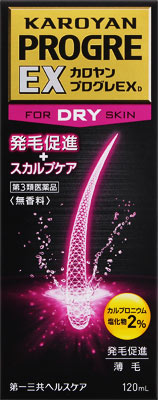 カロヤンプログレEXDの写真